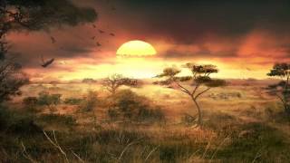 Bob Holroyd - African Drug (Four Tet Remix) [HD]