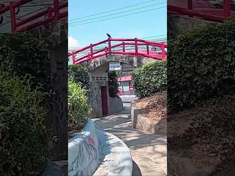 Significado de los puentes rojos