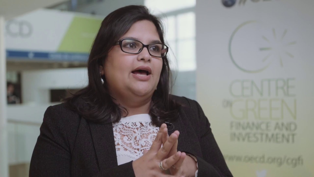 How can we address green finance challenges in developing countries?