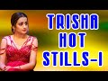 Trisha Hot Stills 1