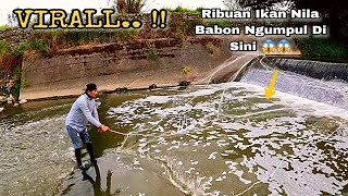 Download lagu EDIAAN‼️JALA IKAN DI DEPAN GROJOKAN TEPAT DI SARANG IKAN NILA BABON LAGI BERKUMPUL mp3
