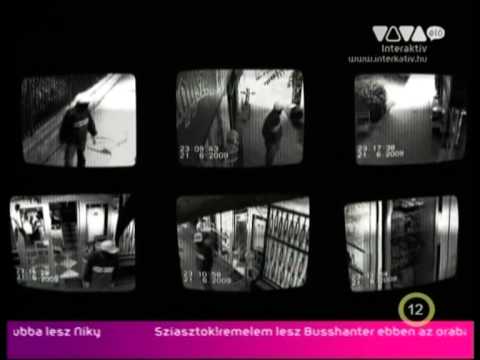 Funktasztikus feat. Animal Cannibals - P.M.L.B. - VIVA premier - 1