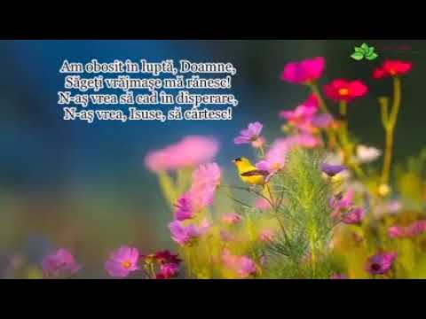 Vreau sa sper ~ Carmen Prodan ~