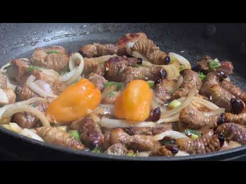 FRIED COCONUT WORMS / TRADITIONAL CONGOLESE FOOD / MPOSE / LARVES DU PALMIER