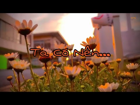 Ta Có Nên - Bray [Prod. Jurrivh] (Edit Lyrics) {4K}