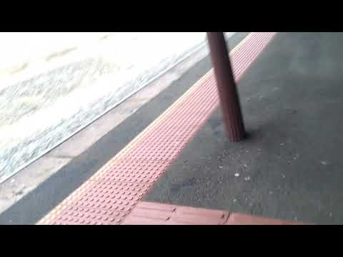 No pickups, at Stawell train station Sct today 9am to 2 pm and pacific nation Melbourne to SA