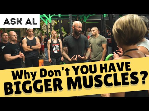 Ask Al – Why Don't YOU Have Bigger Muscles?