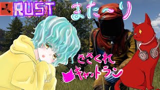 【RUST】お月様のロティぷらすスープのまろやかさ！【またーり鯖】