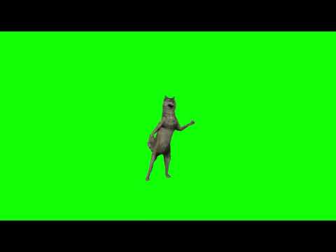 Animated Green Screen Wolf Dancing and Gestures Pack Ijbiñij