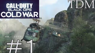 [CoD:BOCW実況プレイ#1]AKは正義[TDM]