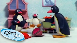 Family Fun With Pingu! @Pingu - Official Channel  | Cartoons For Kids