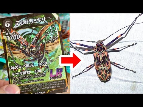 実在する虫のカードゲーム"蟲神器"の最新弾を実際の虫の映像を見ながら開封して行く！