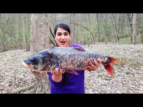 Fish Recipe : Super Easy Oven Baked Fish Recipe | vetki fish fillet recipe