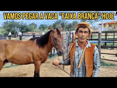 ZOINHO GETS READY TO GO GET THE COW "WHITE STRIP" IN THE MIDDLE OF THE WOODS, THERE WAS A LOT OF ...