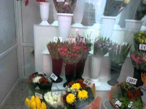 В Белгороде импортные цветы не пользуются популярностью