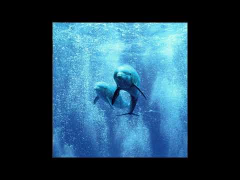 Trance Archives: The Sun Always Shines - Dream Dolphin (1998)