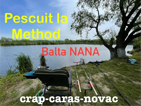 PESCUIT LA METHOD FEEDER pe Balta Nana _20 mai 2024 ( crap, caras, novac)