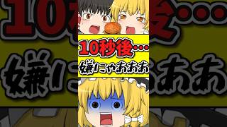 １０秒後・・・ハンバーガー嫌いな猫が泣く！？最後に猫がまさかの・・・ #shorts #ゆっくり茶番劇 #博麗霊夢