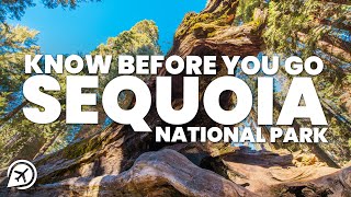 THINGS TO KNOW BEFORE YOU GO TO SEQUOIA NATIONAL PARK
