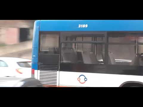 STCP NO LINHA 805 VEÍCULOS 3173, e 3189,