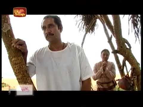 Swayanjatha Episode 19 - Part 2