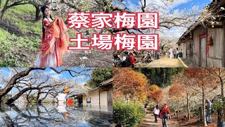 [問卦] 倪匡真的有幫金庸代寫嗎？