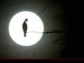 What´s New - John Coltrane