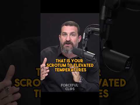 Huberman on BEFORE conceiving children #shorts