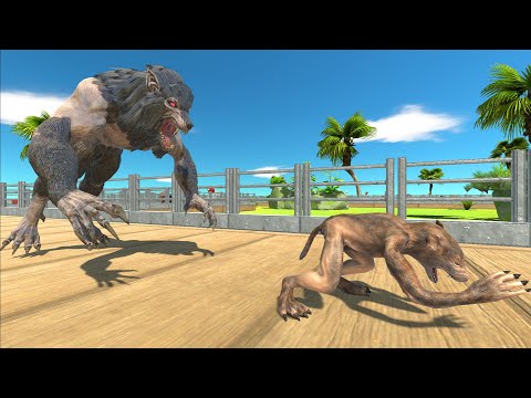 Werewolf Oasis Death Run - Animal Revolt Battle Simulator
