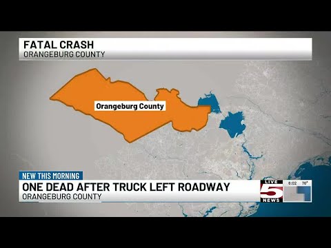 VIDEO: 1 killed in Orangeburg Co. crash