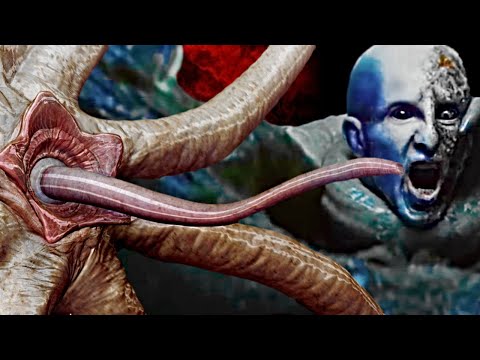 Trilobite - Xenomorph's Octopus Shaped Insanely Massive Ancestor - Explored In Detail