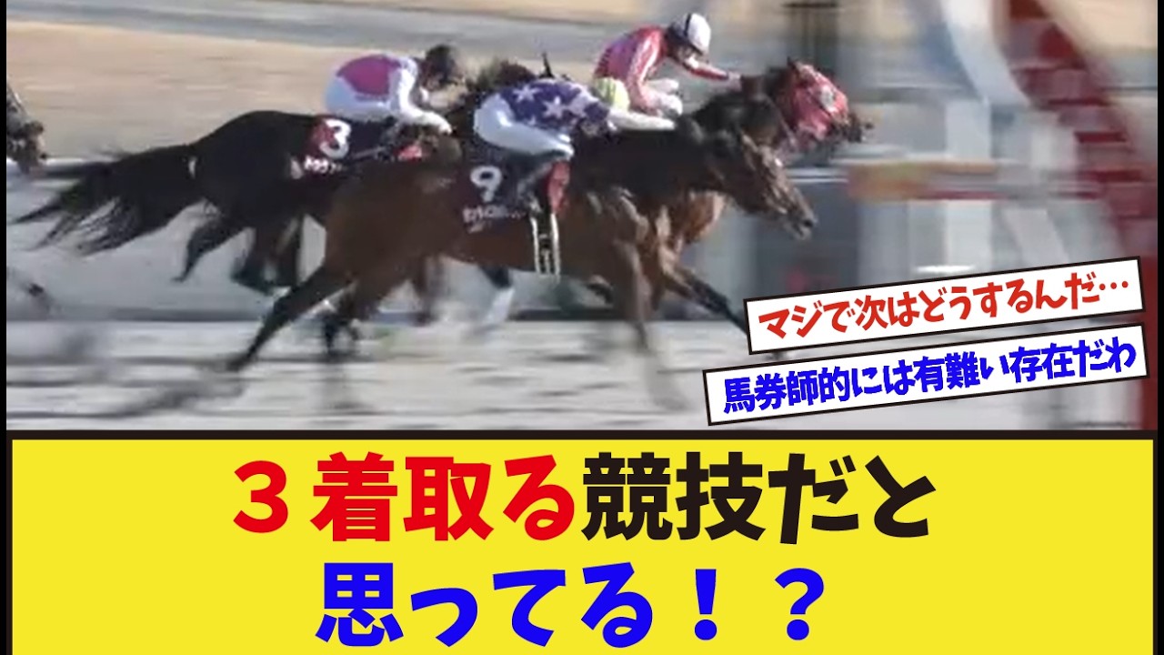 「ドゥラエレーデ…賞金が…」に対するみんなの反応集