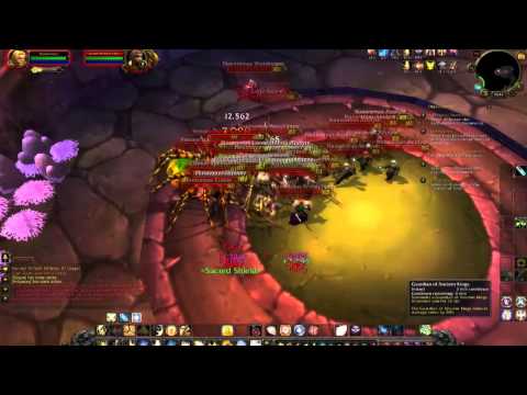 Level 80 Paladin solo - Naxxramas Arachnid Quarter