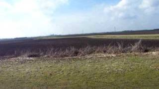 preview picture of video 'Whitemoor Nature Reserve England. 03March,  2009 010'