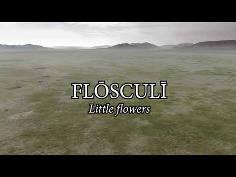 Flōsculī | An easy, simple Latin song