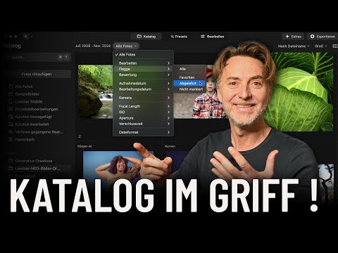 Luminar NEO ✱ Catalog under control! ✱ How it really works