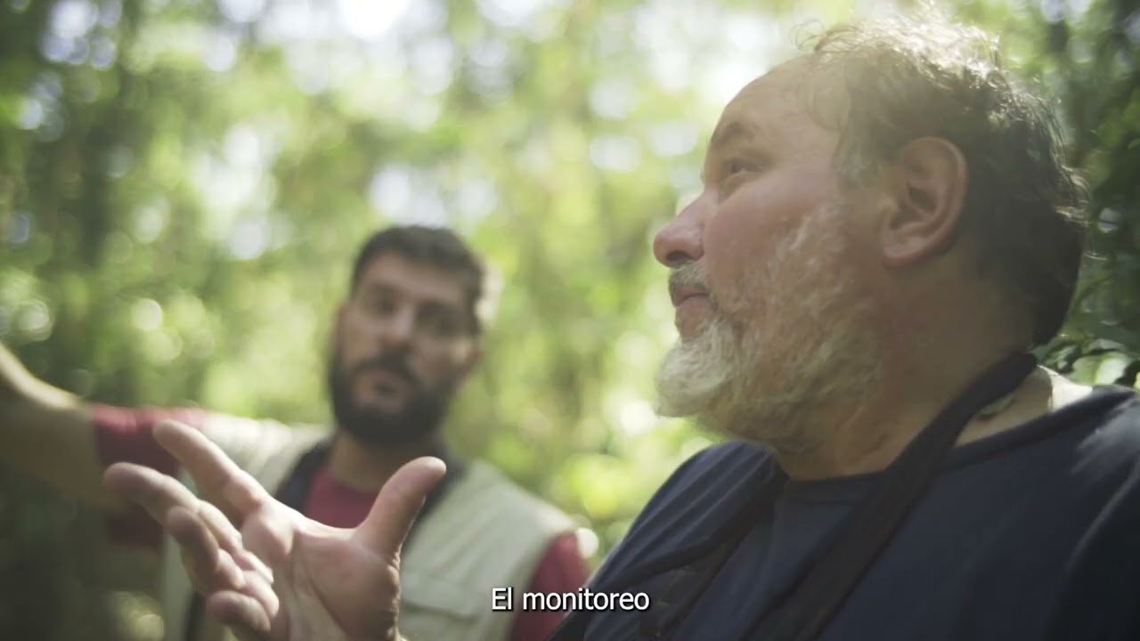 RÍO URUGUAY I Relevamientos de Aves en el Río Uruguay