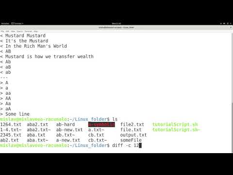Linux Tutorial Series 70 The Diff Command