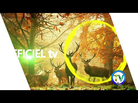 download lagu mp3 mp4 Musique Libre De Droit Electro, download lagu Musique Libre De Droit Electro gratis, unduh video klip Musique Libre De Droit Electro