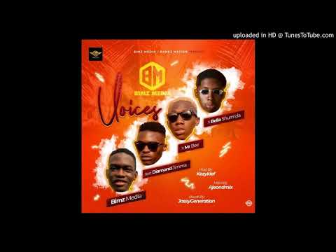Bimz Media ft Diamond Jimma X Mr Bee X Bella Shmurda - Voices (Prod.KezyKlef)