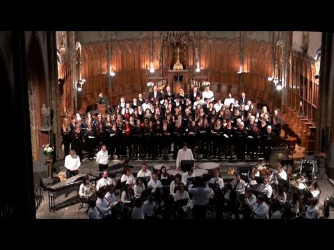 EXODUS SONG - Ernest Gold arr Johan De Meu