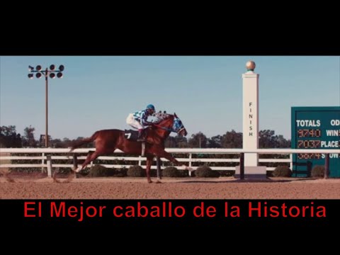 The story of Secretariat, the world's greatest racehorse.