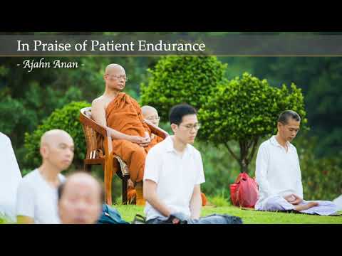 In Praise of Patient Endurance | Ajahn Anan