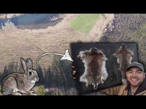 Step-By-Step Guide On How To Flesh & Tan Rabbit Hides!