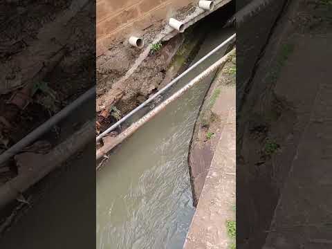 Dredge river Kibarage.A tributary of Nairobi river