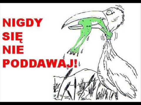 Koza ft. Woytazz - Nie poddawaj się