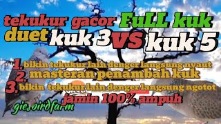 Download lagu TEKUKUR GACOR FULL KUK.KUK 3 VS KUK 5 MASTERAN PENAMBAH KUK #tekukurgacor #tekukurkuk3 #tekukur mp3