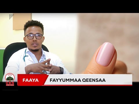 Faaya || Fayyummaa Qeensaa