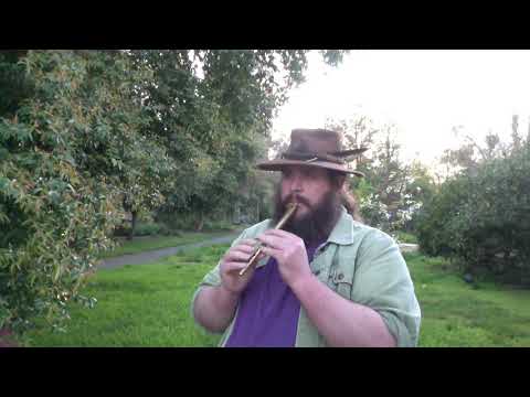 Whistlin' with Casey 20/03/20: Kesh Jig, Swallowtail Jig