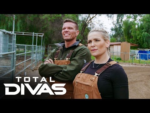Fight Size Update: Painmaker Chris Jericho, NJPW Press Conference, Dasha Fuentes, More